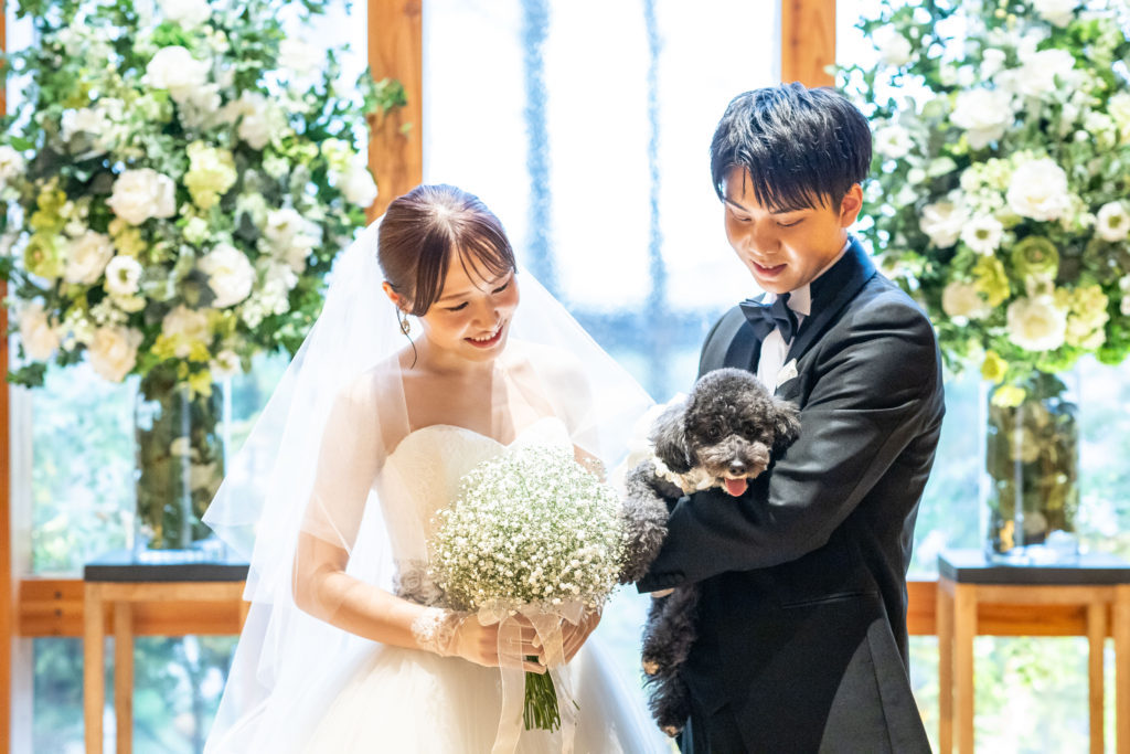 愛犬も大切な家族🐶一緒に過ごすnight wedding✯°˖✧