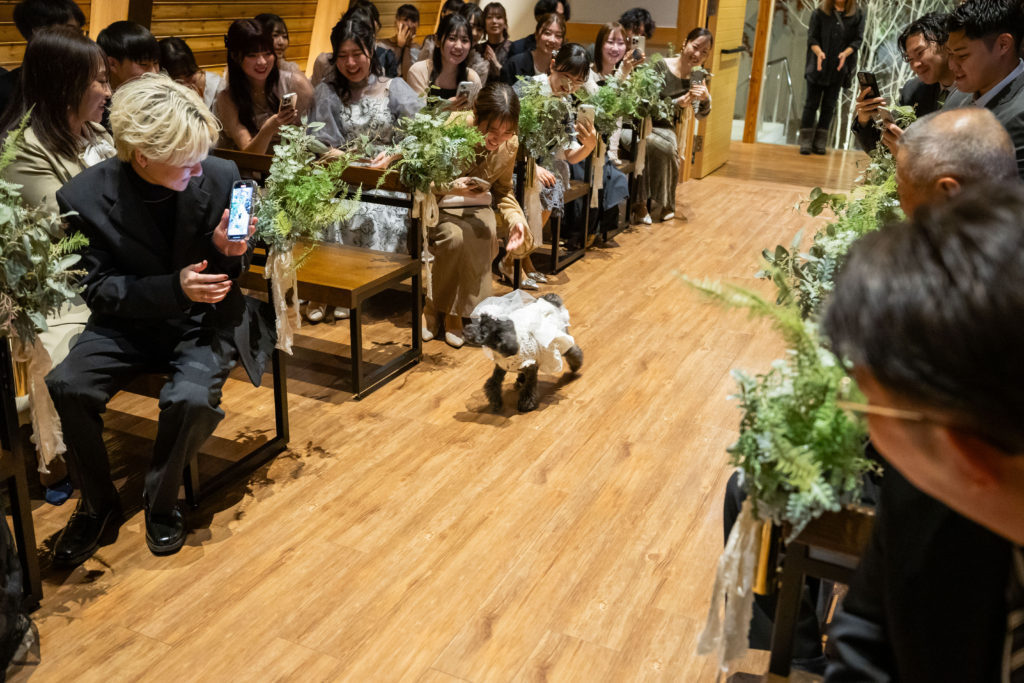 愛犬も大切な家族🐶一緒に過ごすnight wedding✯°˖✧
