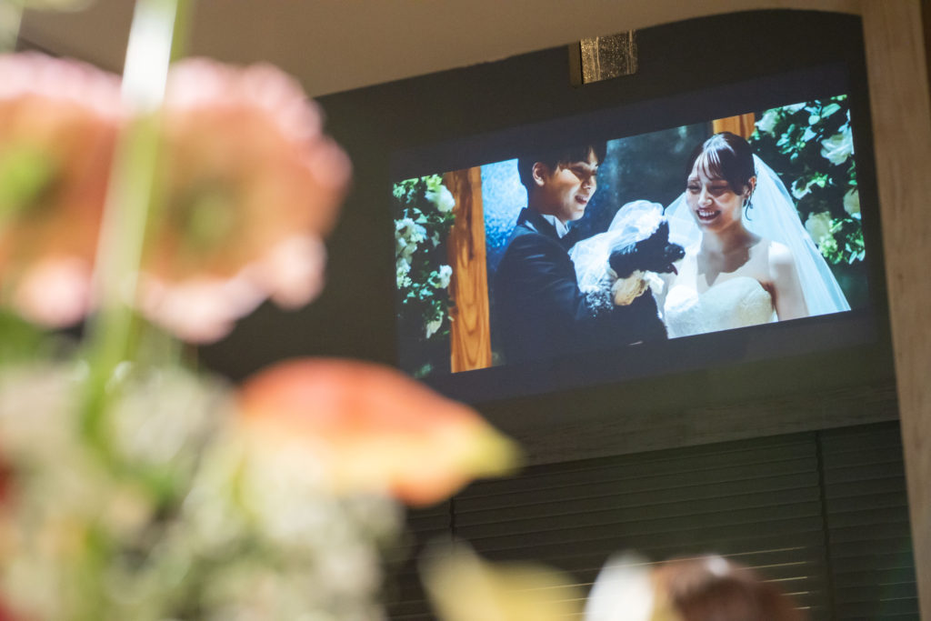 愛犬も大切な家族🐶一緒に過ごすnight wedding✯°˖✧